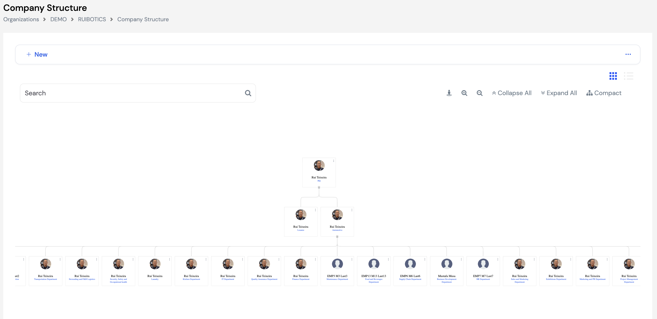 Company Structure org chart view showing HQ at the top (Rui Teixeira), with two second-level nodes (Laundry, Automotive), then multiple department nodes across the bottom including Transportation, Forwarding, Security, Kitchen, IT, Quality Assurance, Finance, Maintenance, Food and Beverage, Business Development, HR, Sales and Marketing, Exhibitions, Marketing and Maintenance, and Project Management departments